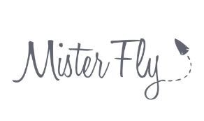 Mister Fly