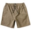 Volcom Frickin 15" Short