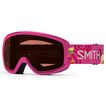 Smith Snowday Goggles