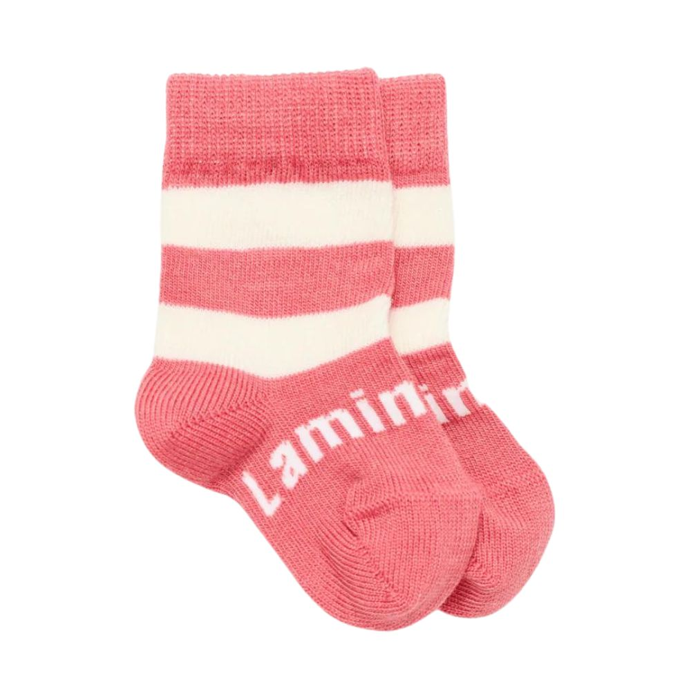 Lamington Baby Merino Crew Socks