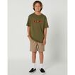 Volcom Frickin 15" Short