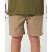 Volcom Frickin 15" Short