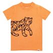 Tee Tiger Band of Boys