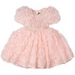 Dress Ruffle Tulle RYK