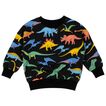 Sweatshirt Dino Bright RY