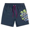 Boardshort Santa Cruz