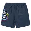 Boardshort Santa Cruz