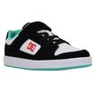 DC Shoes Manteca