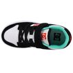 DC Shoes Manteca