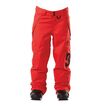 DC Banshee Snow Pant