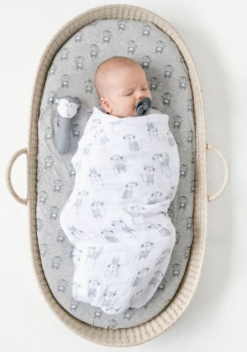 monkey bassinet